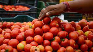 tomatoes journy india